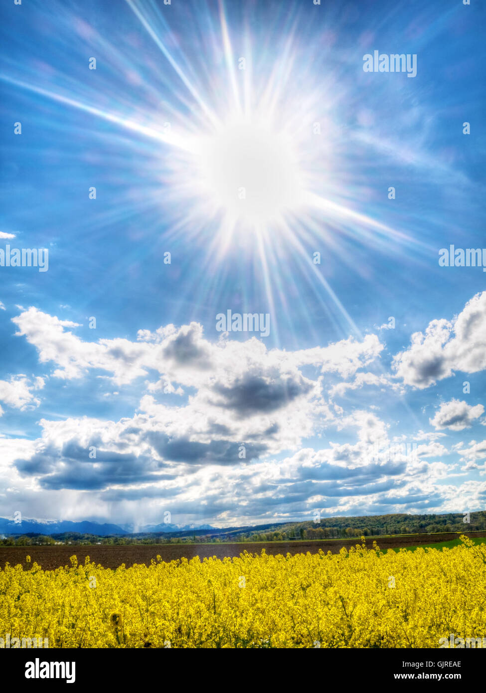 agriculture farming field Stock Photo - Alamy