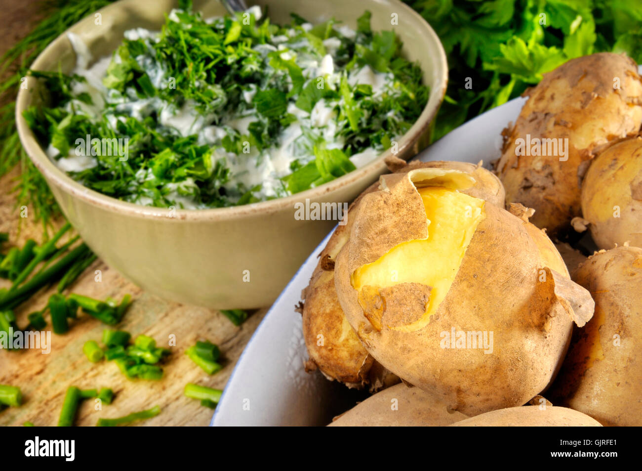 boiled potatoes with cottage cheese Stock Photo