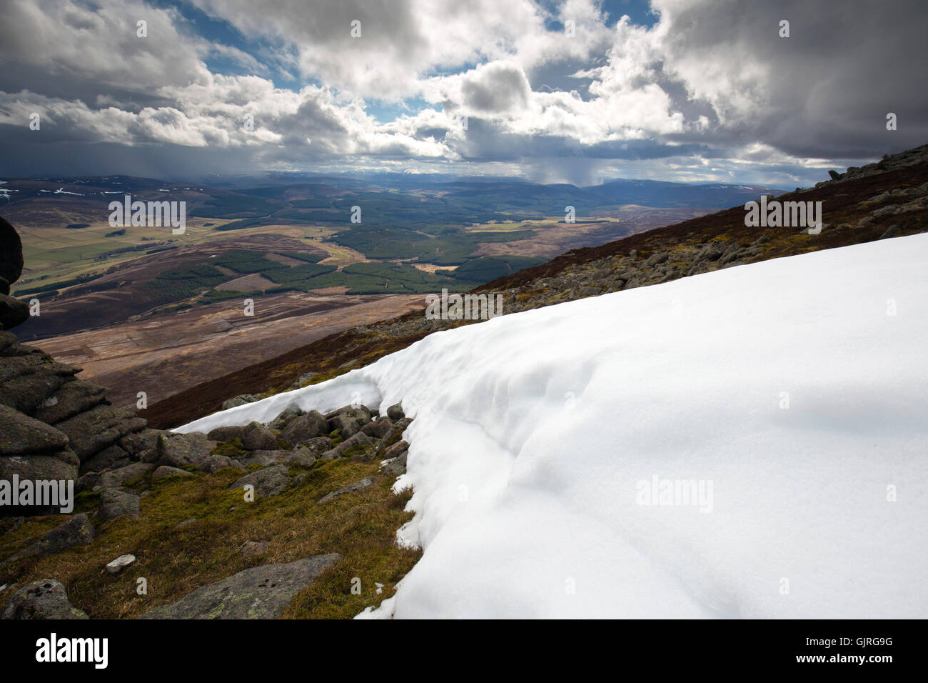 Ben Rinnes; Cairngorms; Scotland; UK Stock Photo - Alamy