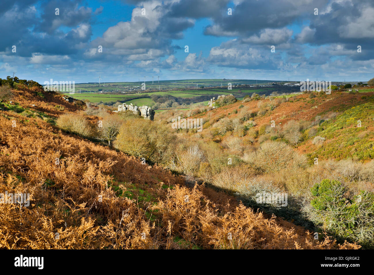 Devil's Leap; Bodmin Moor; Cornwall; UK Stock Photo