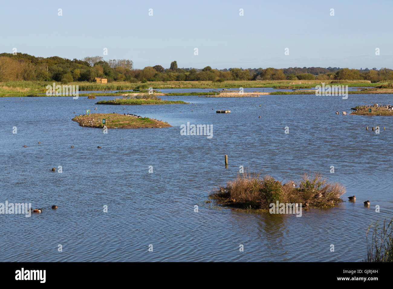 Titchfield hires stock photography and images Alamy