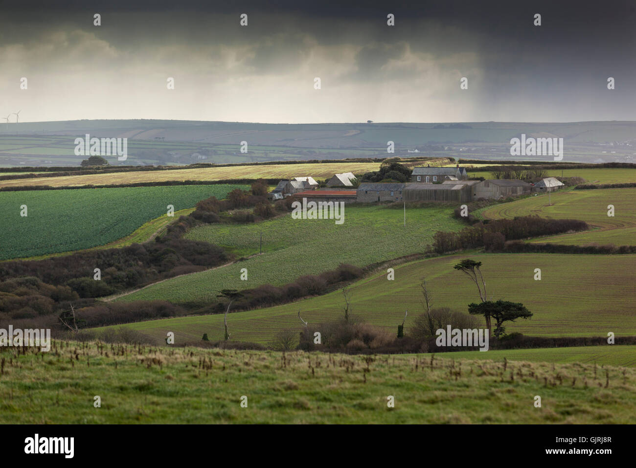 Tregirls Farm; Surrounding Fields Padstow Cornwall; UK Stock Photo Alamy