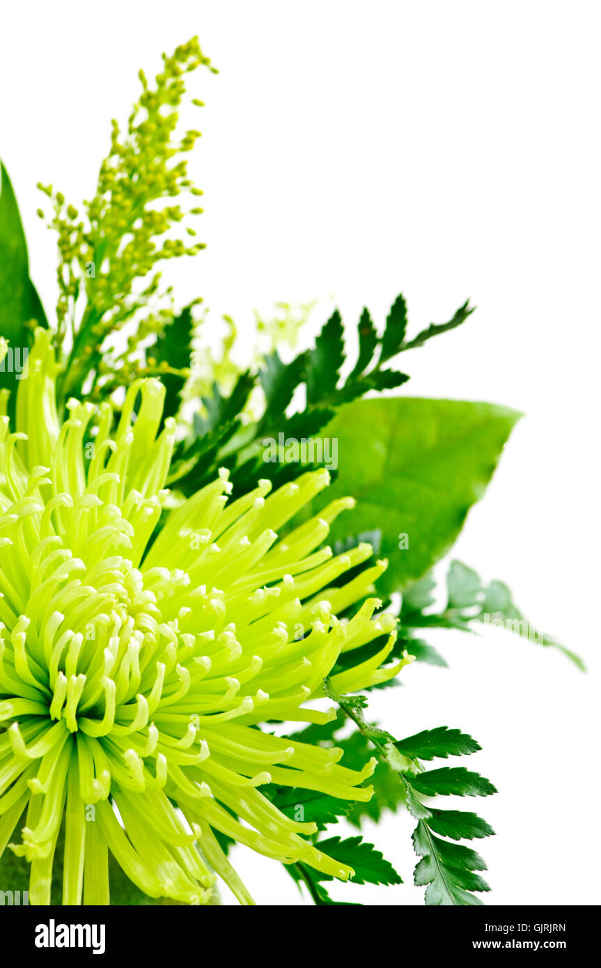 Photo flower arrangement hi-res stock photography and images - Alamy
