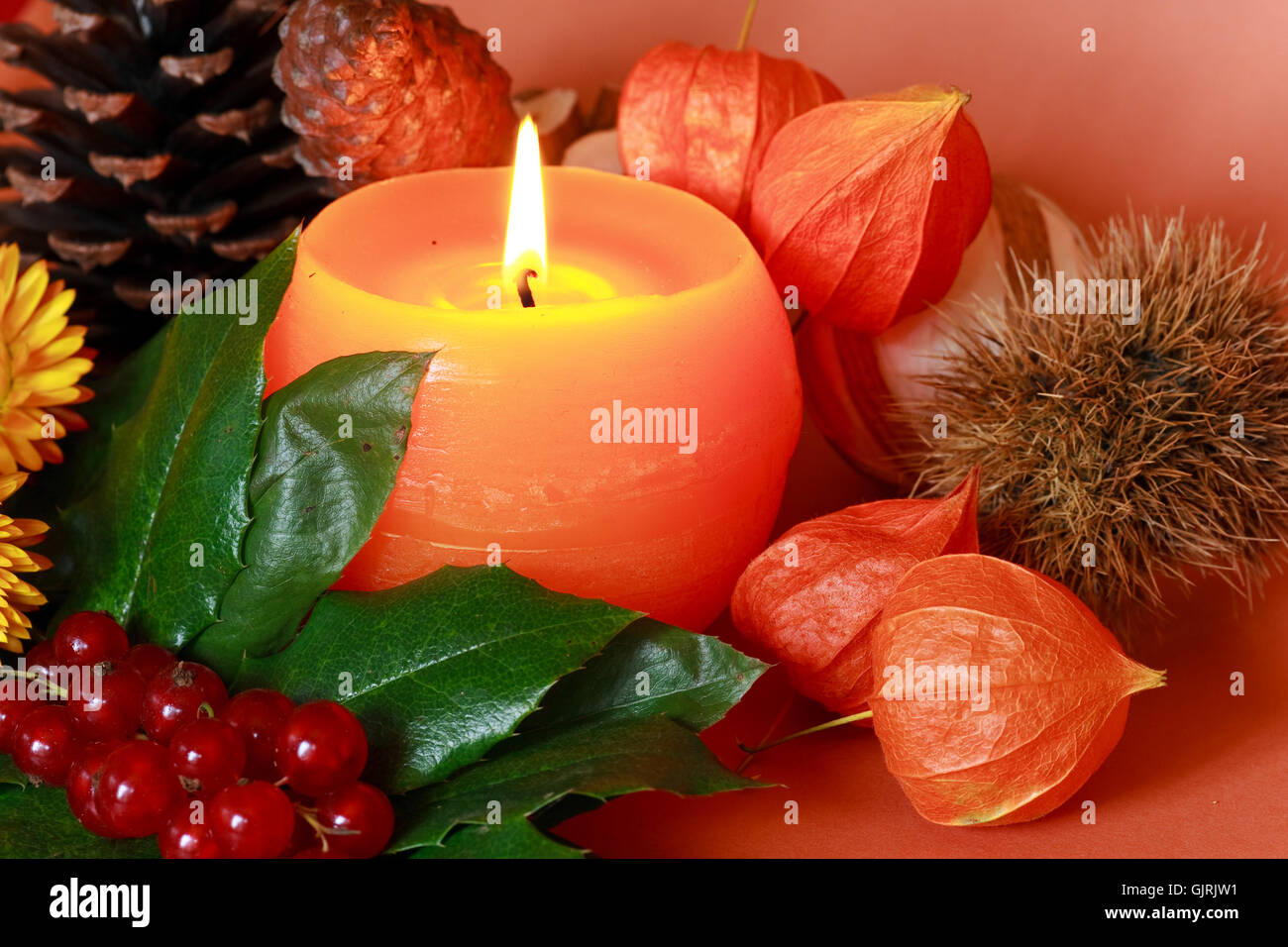 flower plant candle Stock Photo Alamy