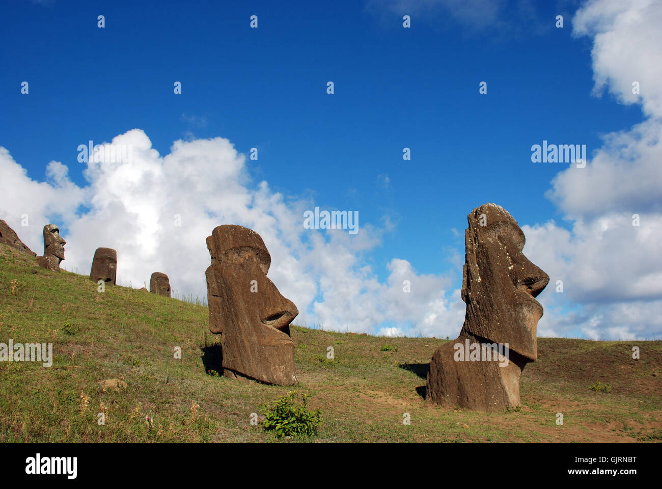 moai hinariru and companions Stock Photo