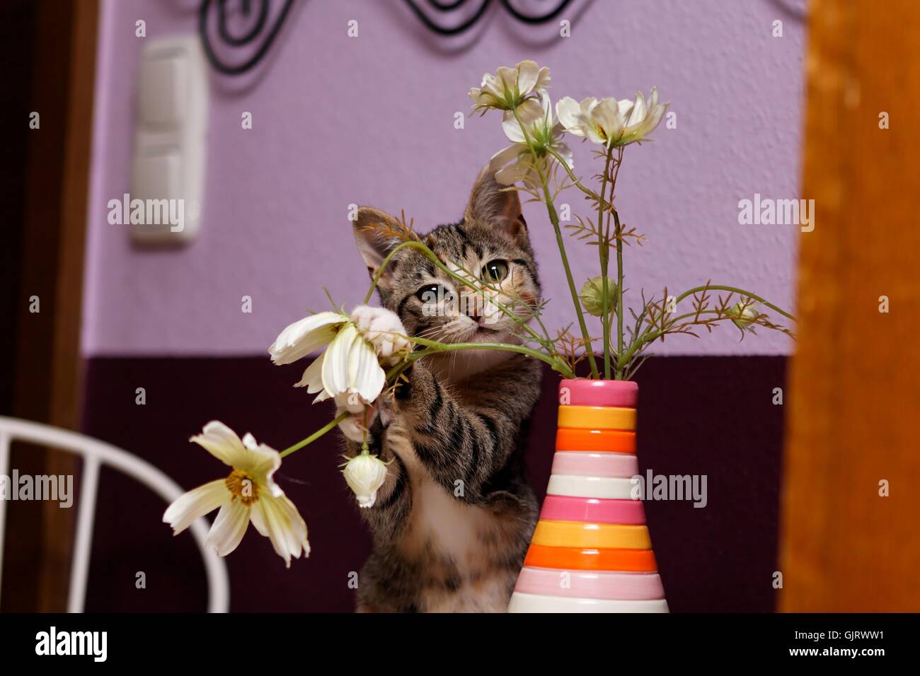 What Is A Pretty Pussy
