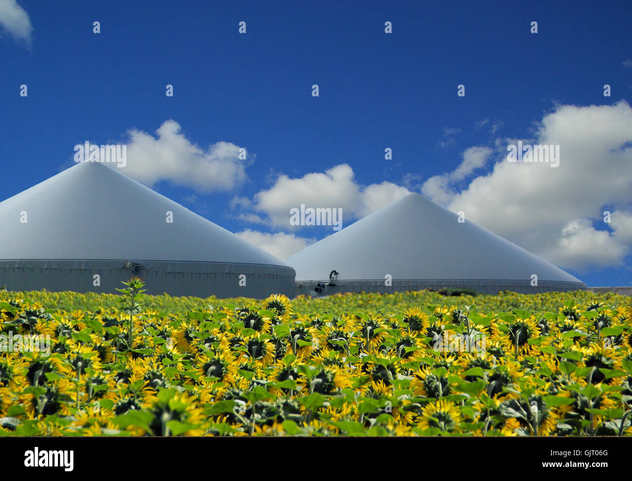 biogas plant - biogas plant 35 Stock Photo