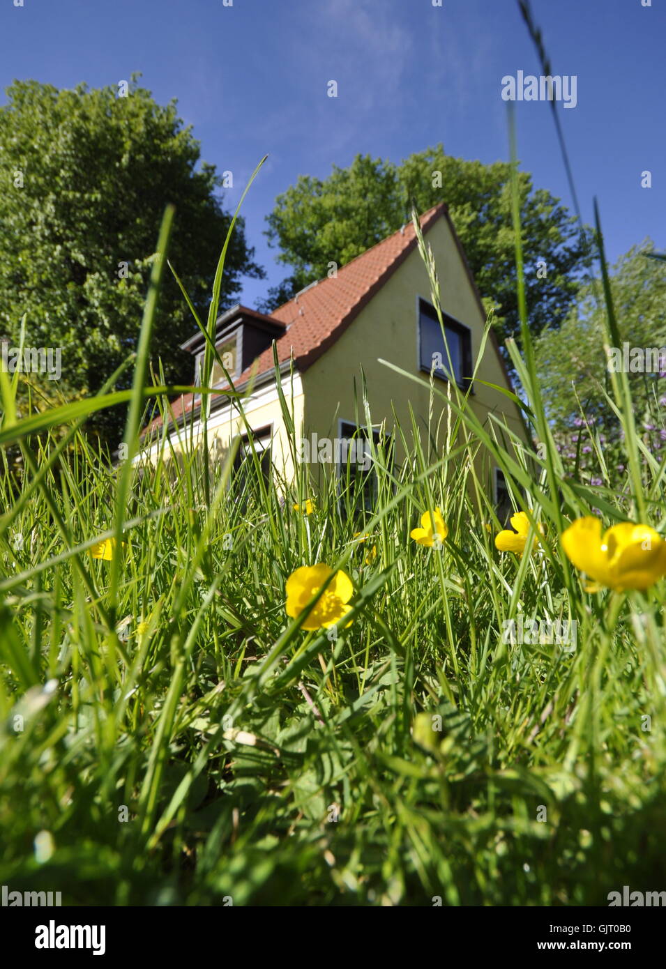 house in the countryside Stock Photo