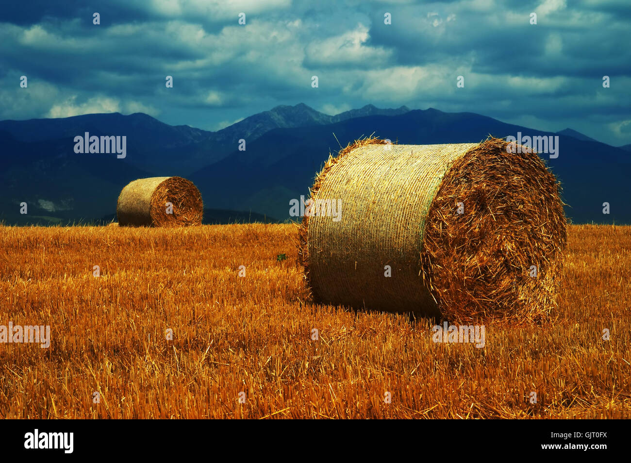 field hay land Stock Photo Alamy