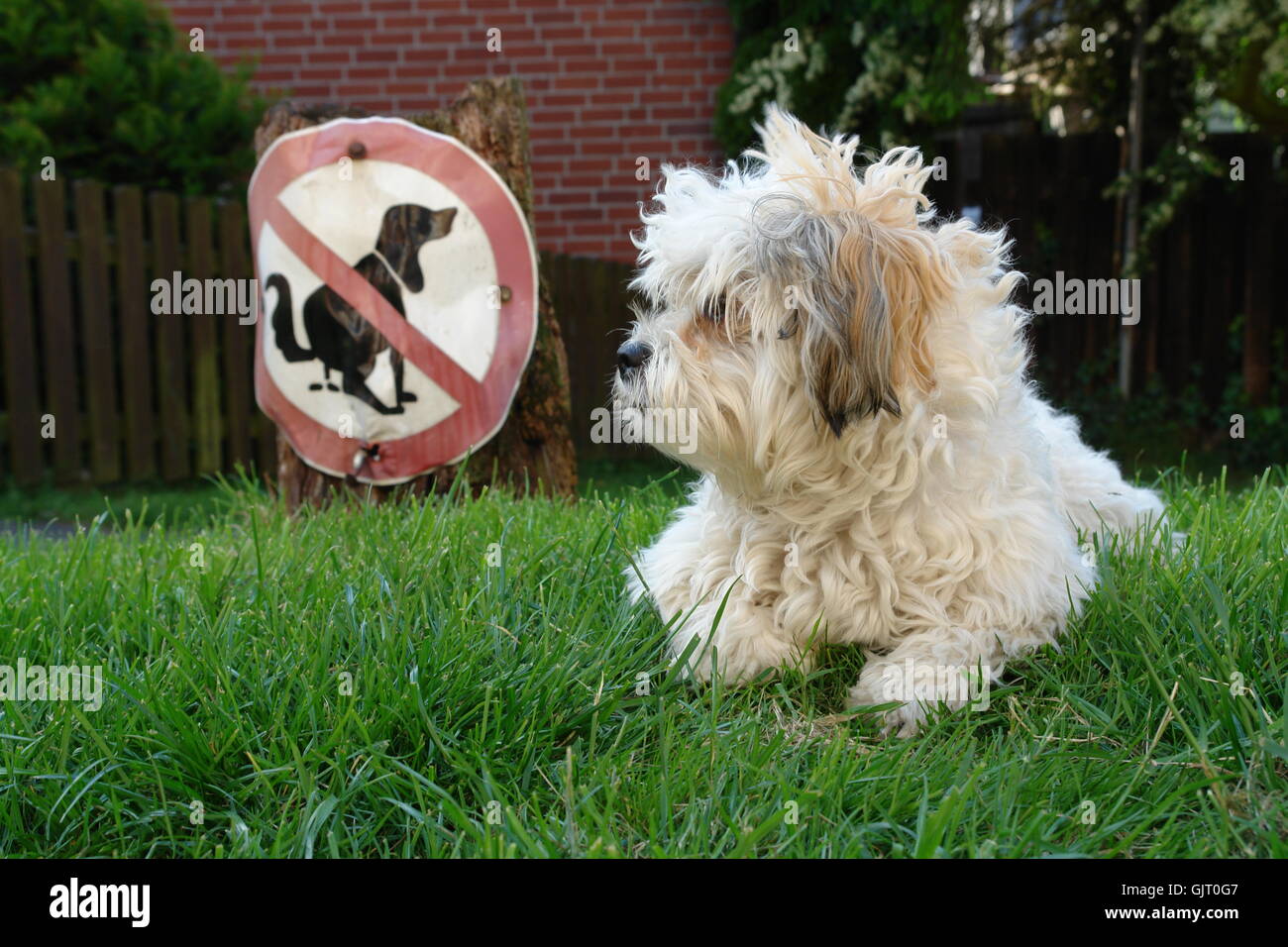 and now Stock Photo Alamy