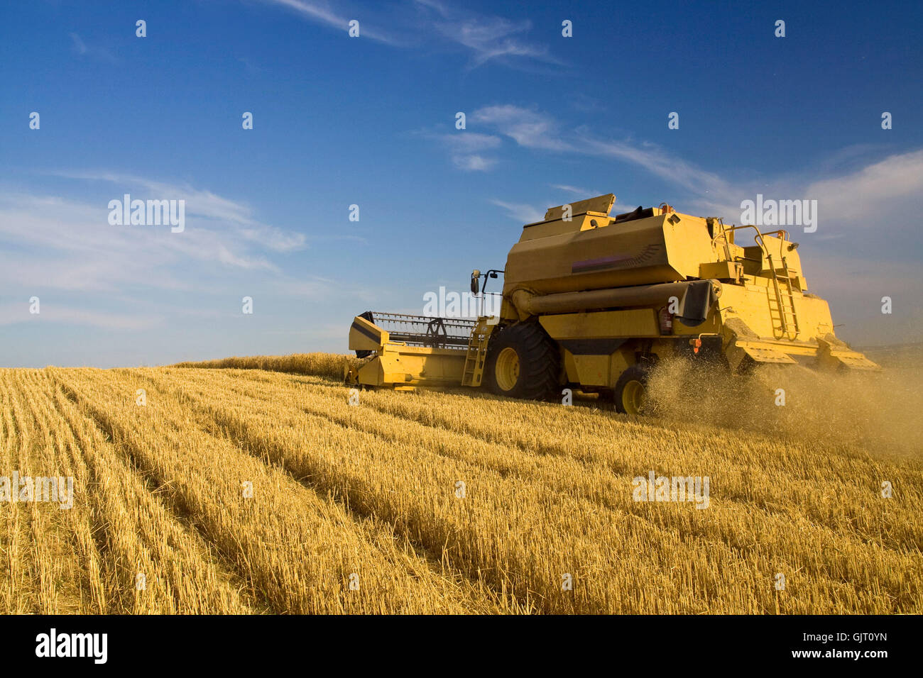 agriculture farming grain Stock Photo
