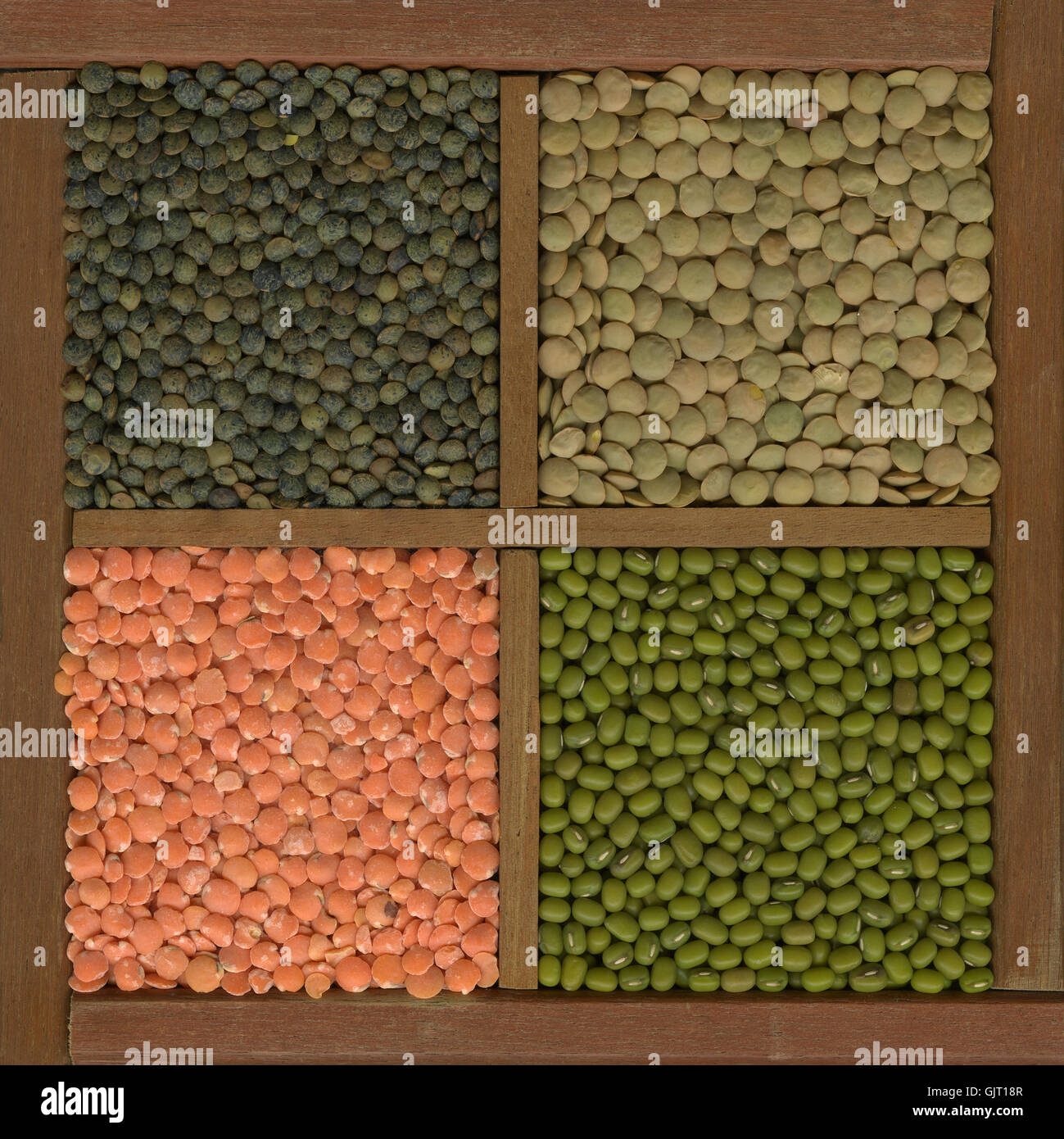 green french bean Stock Photo