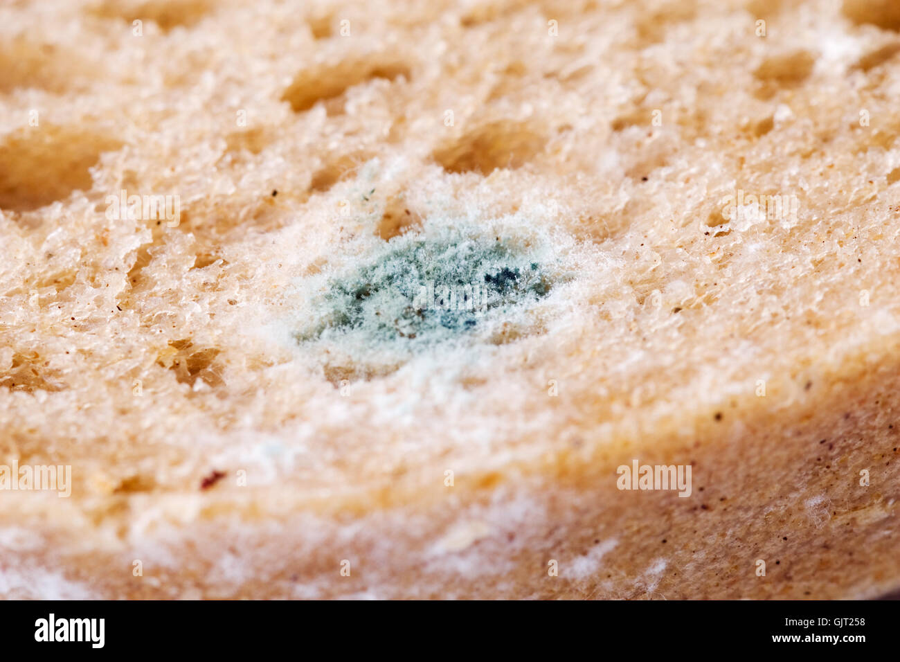 mold stain Stock Photo