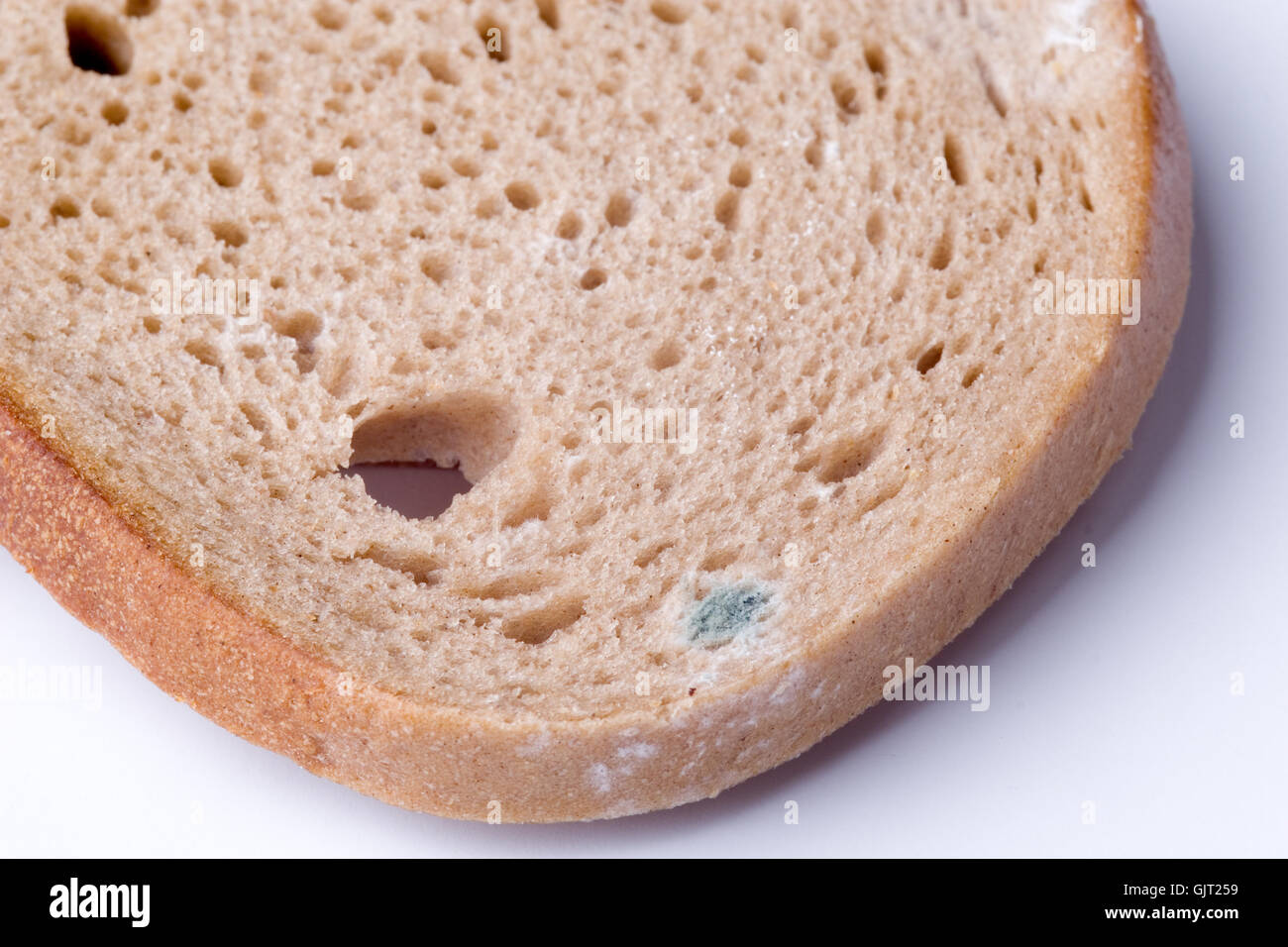 Moldy food hi-res stock photography and images - Alamy
