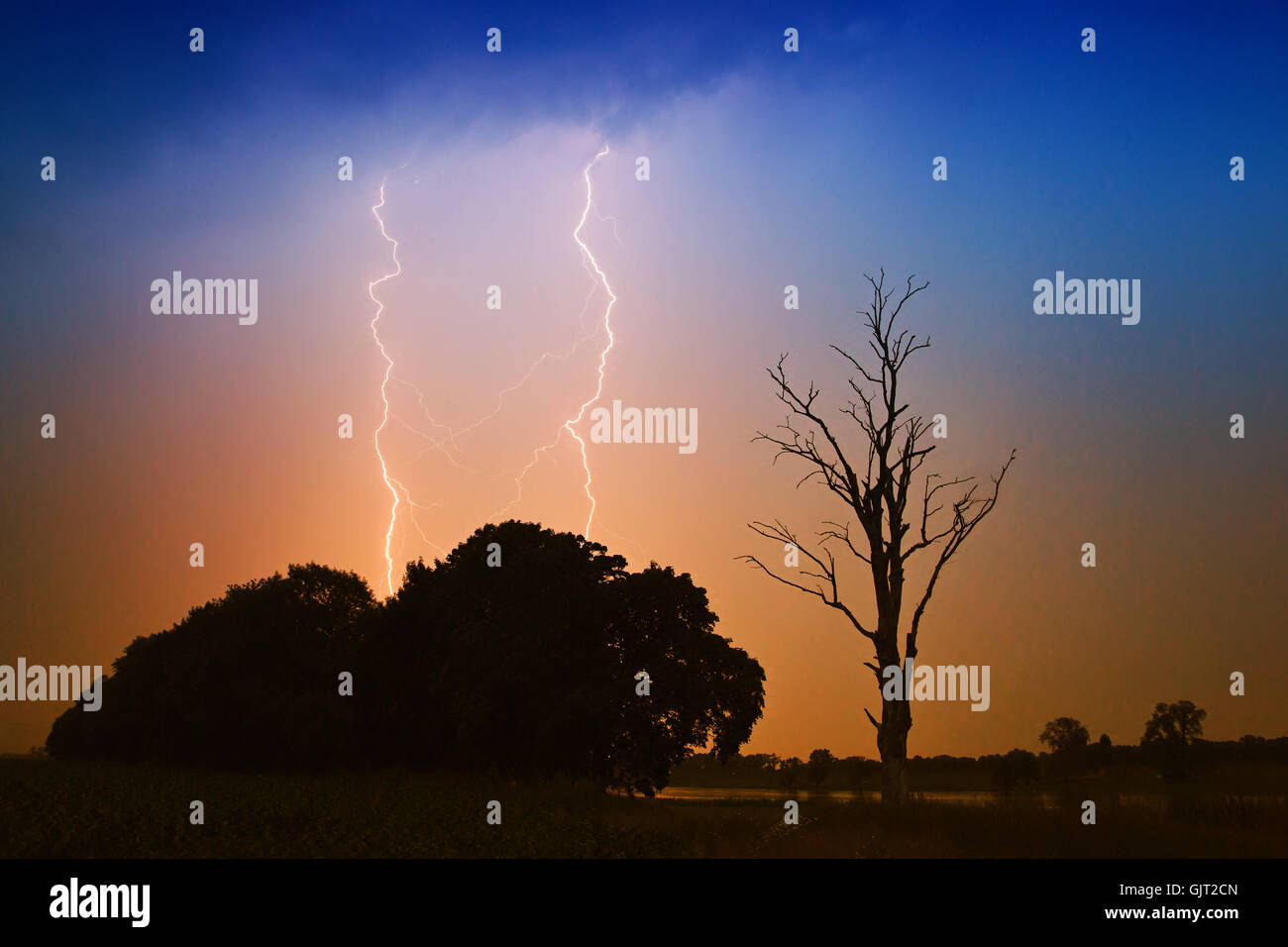 tree thunder-storm thunderstorm Stock Photo