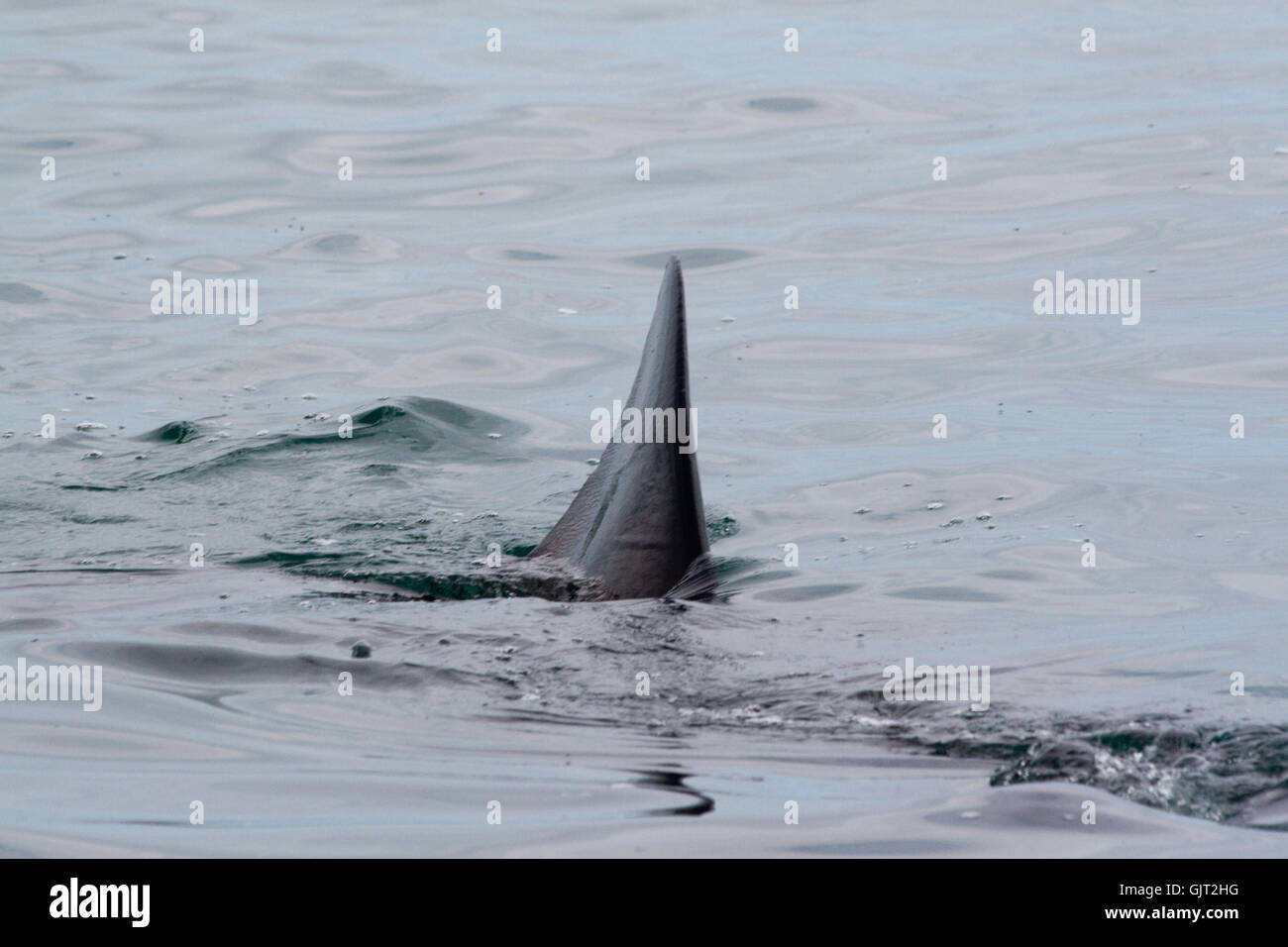 danger atlantic ocean salt water Stock Photo Alamy