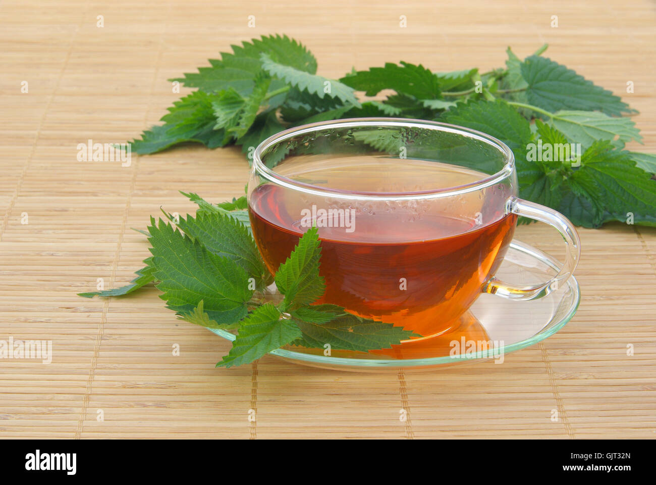 tea leaf stinging nettle Stock Photo