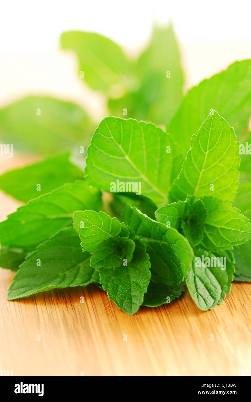 leaves mint herb Stock Photo Alamy