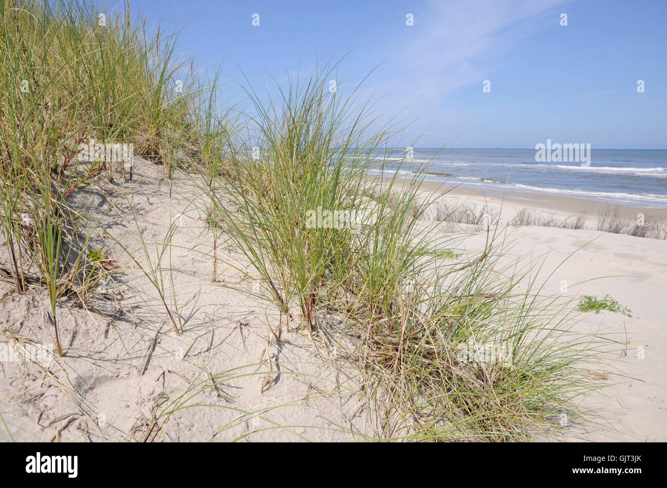 sand dune on wangerooge Stock Photo