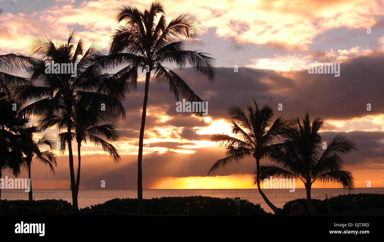 Hawaii travel hi-res stock photography and images - Alamy