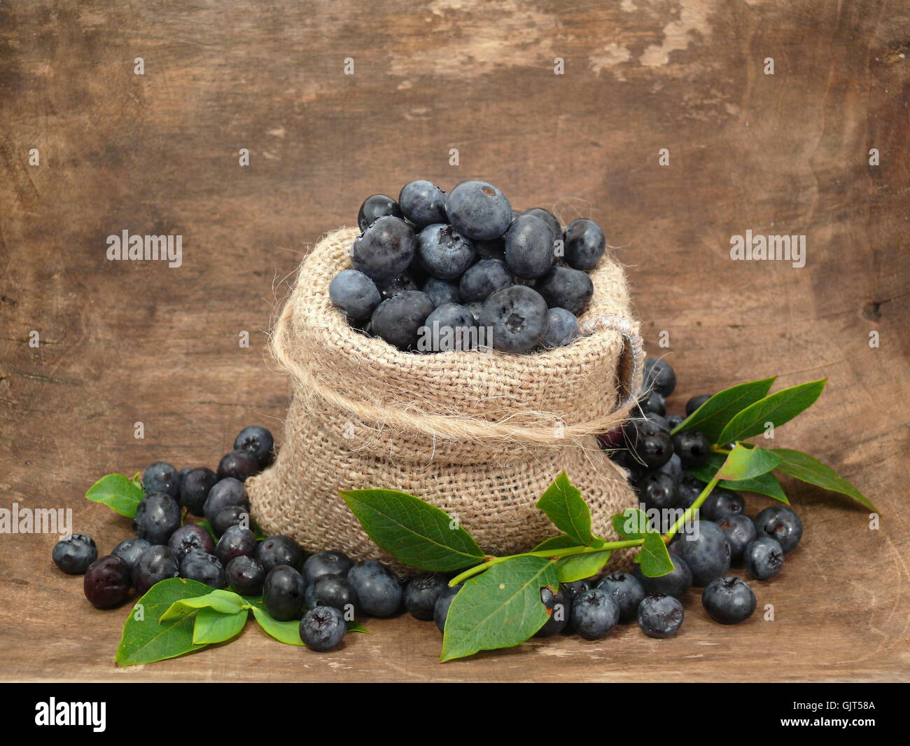 bilberries blueberries huckleberries Stock Photo Alamy