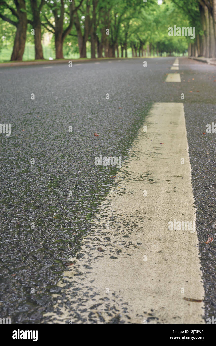 Closeup on road marking with empty alley on blurred background, vertical composition Stock Photo