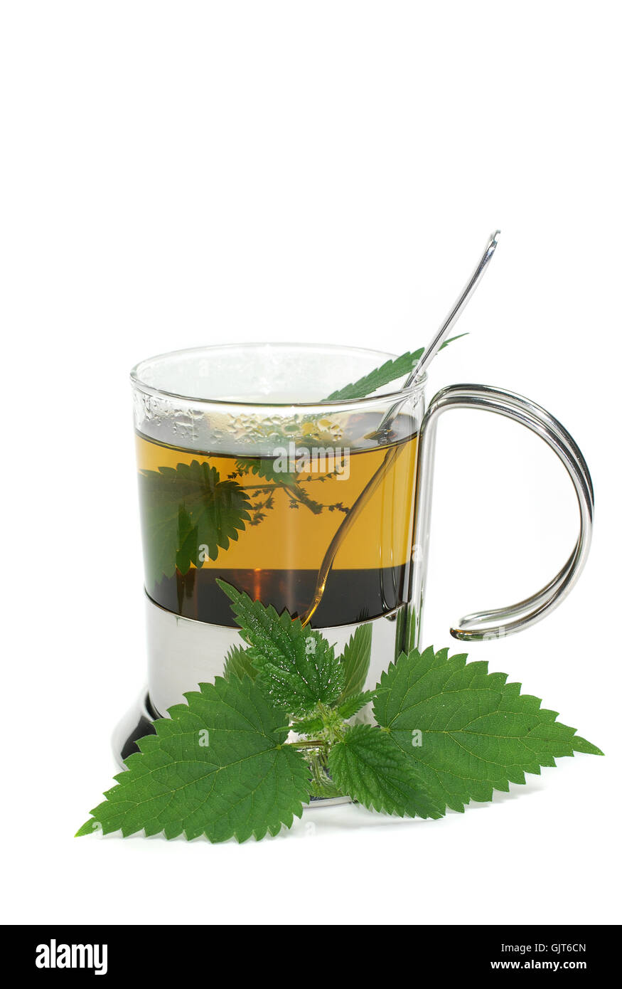tea nettle tea Stock Photo Alamy