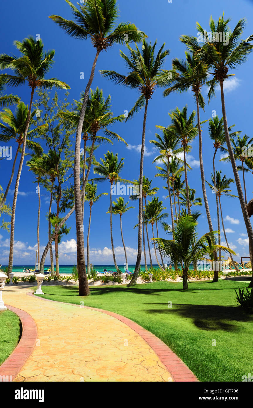 tree trees holiday Stock Photo - Alamy