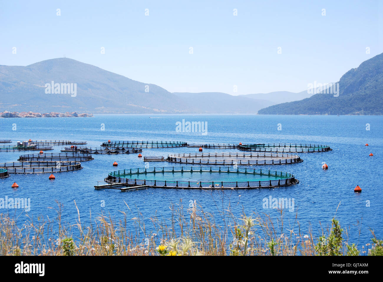 fish farm Stock Photo