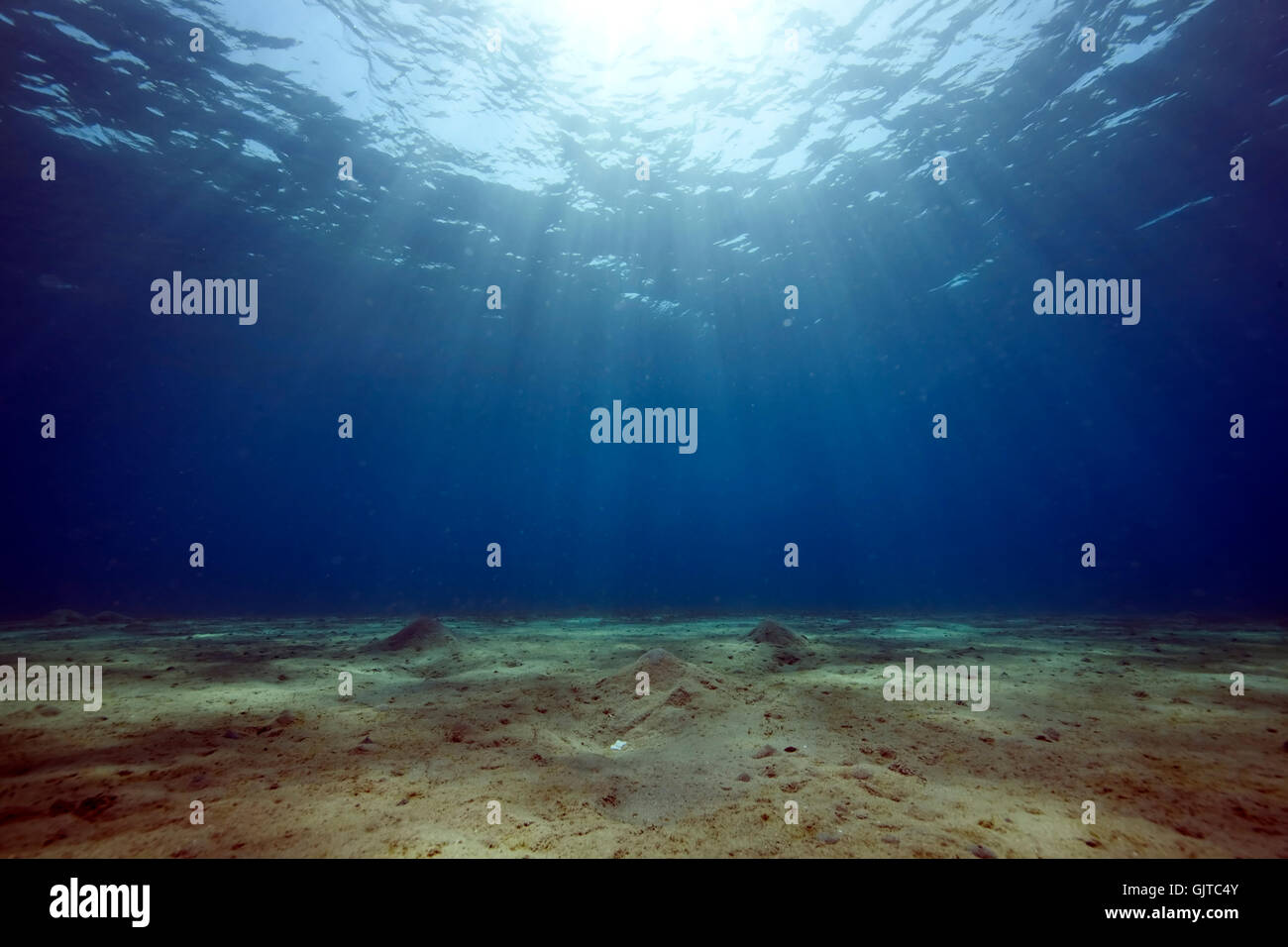 blue shine shines Stock Photo - Alamy
