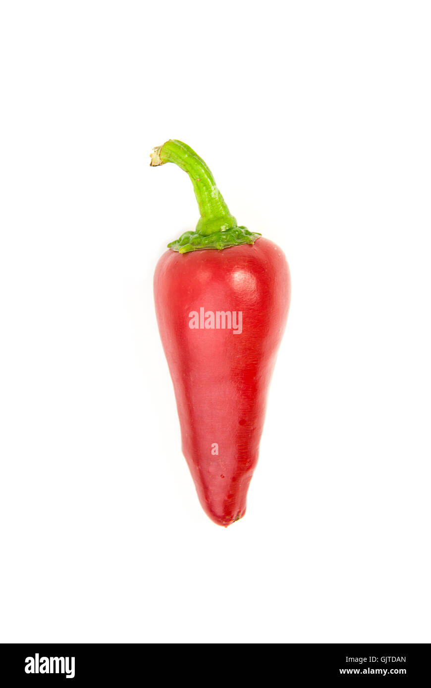 One ripe red Chilli peppers on over white Stock Photo - Alamy