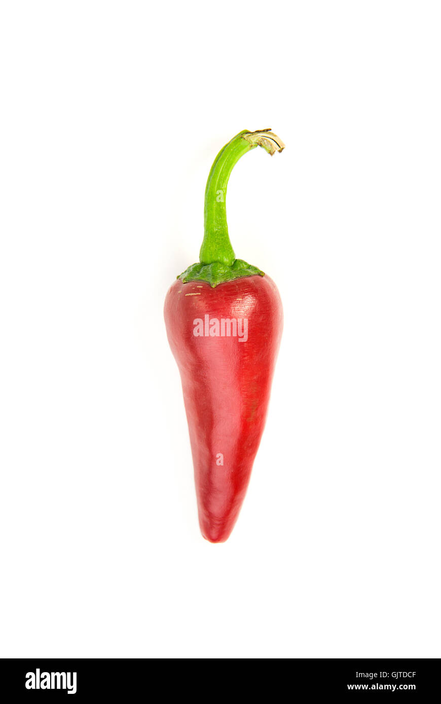 One ripe red Chilli peppers on over white Stock Photo - Alamy