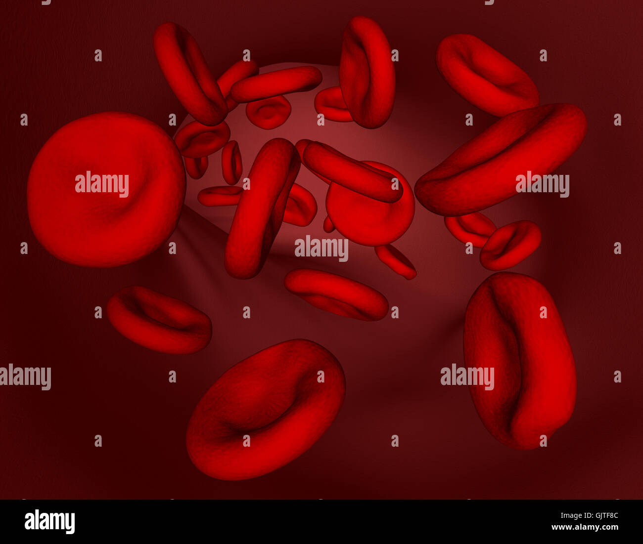blood plasma artery Stock Photo
