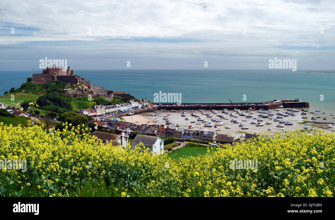coleseed low tide jersey Stock Photo