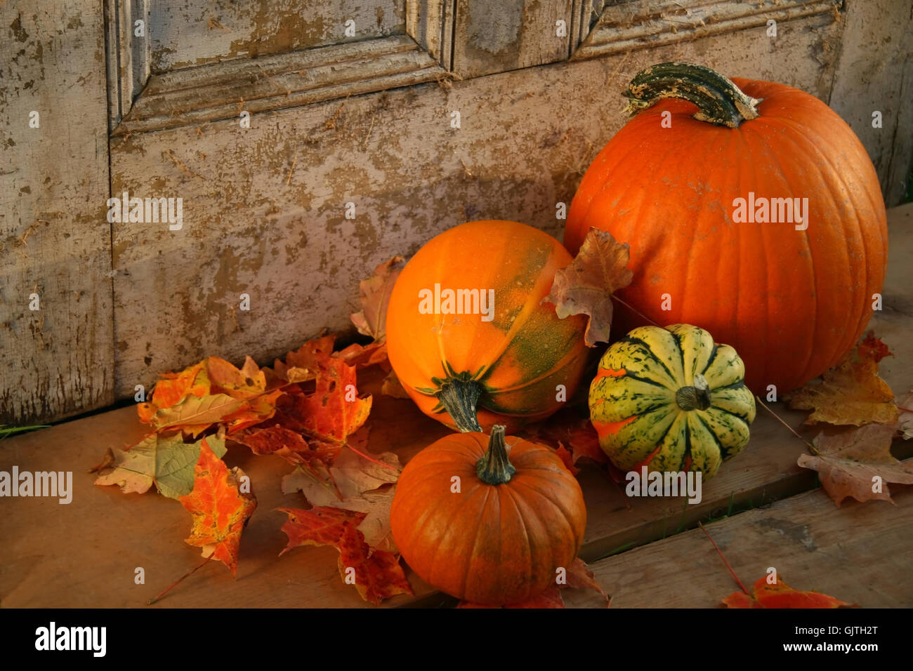 sassy obtrusive brash Stock Photo Alamy