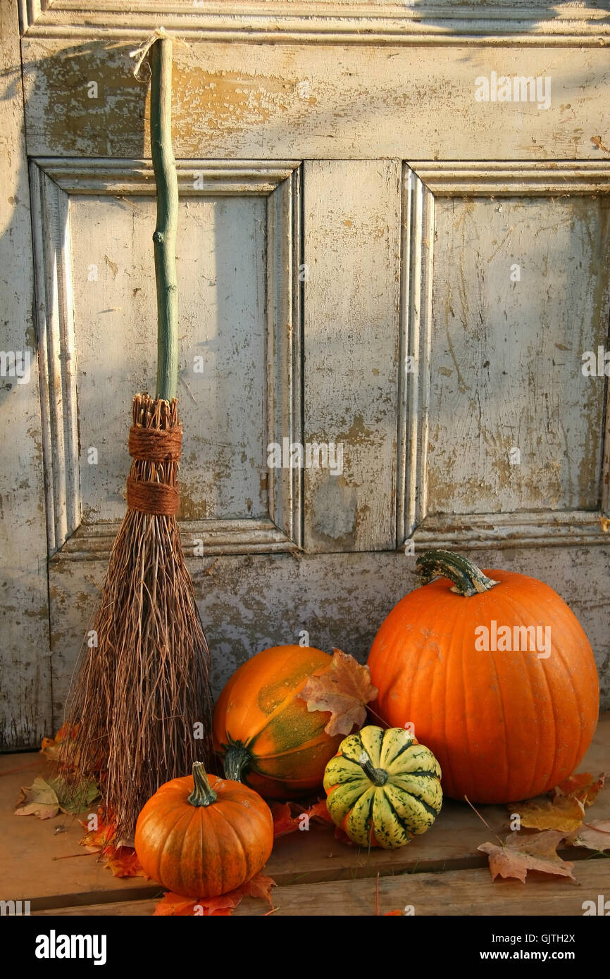 sassy obtrusive brash Stock Photo Alamy