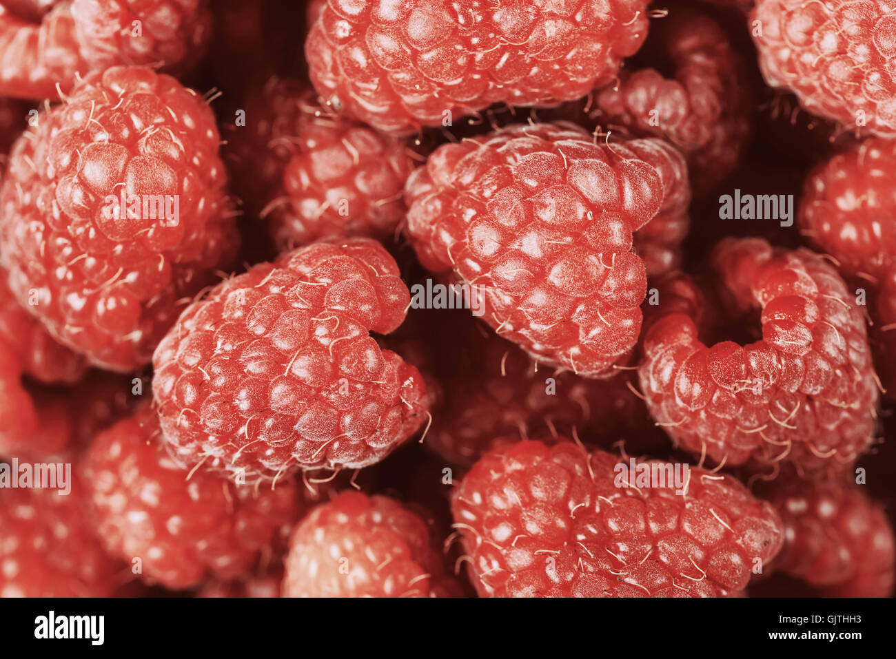 Red Raspberry Fruits Stock Photo