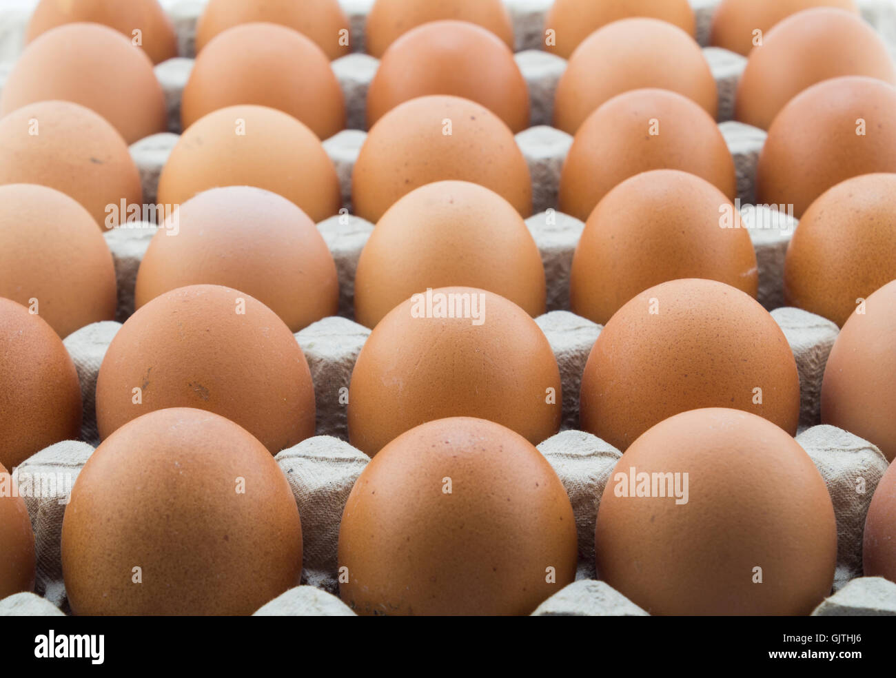 Background of fresh hen eggs in rows inside shop cardboard container Stock Photo