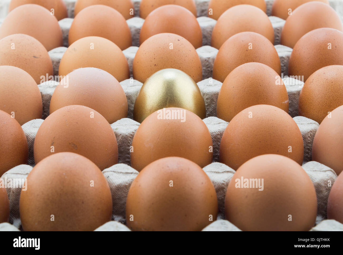 Abstract background with single golden egg and many normal hen eggs in carton Stock Photo