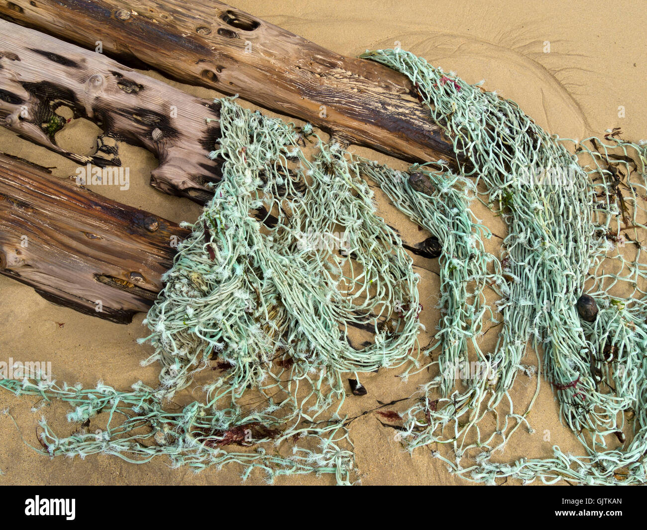 Shipwreck driftwood and old fishing net buried in sand, Balnahard Beach, Isle of Colonsay, Scotland, UK. Stock Photo