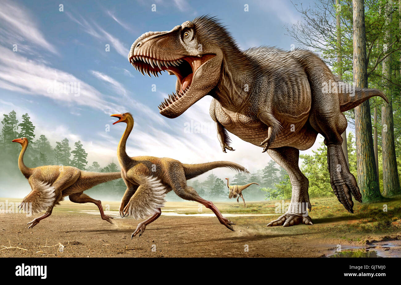 T rex dinosaur hi-res stock photography and images - Alamy