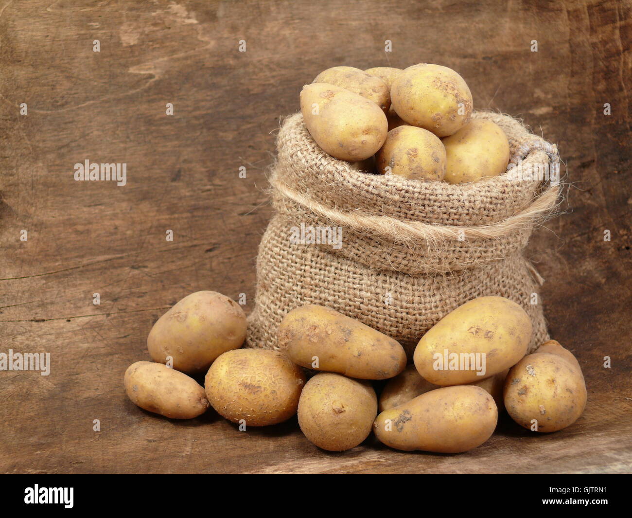 https://c8.alamy.com/comp/GJTRN1/bag-potato-harvest-potatoes-GJTRN1.jpg