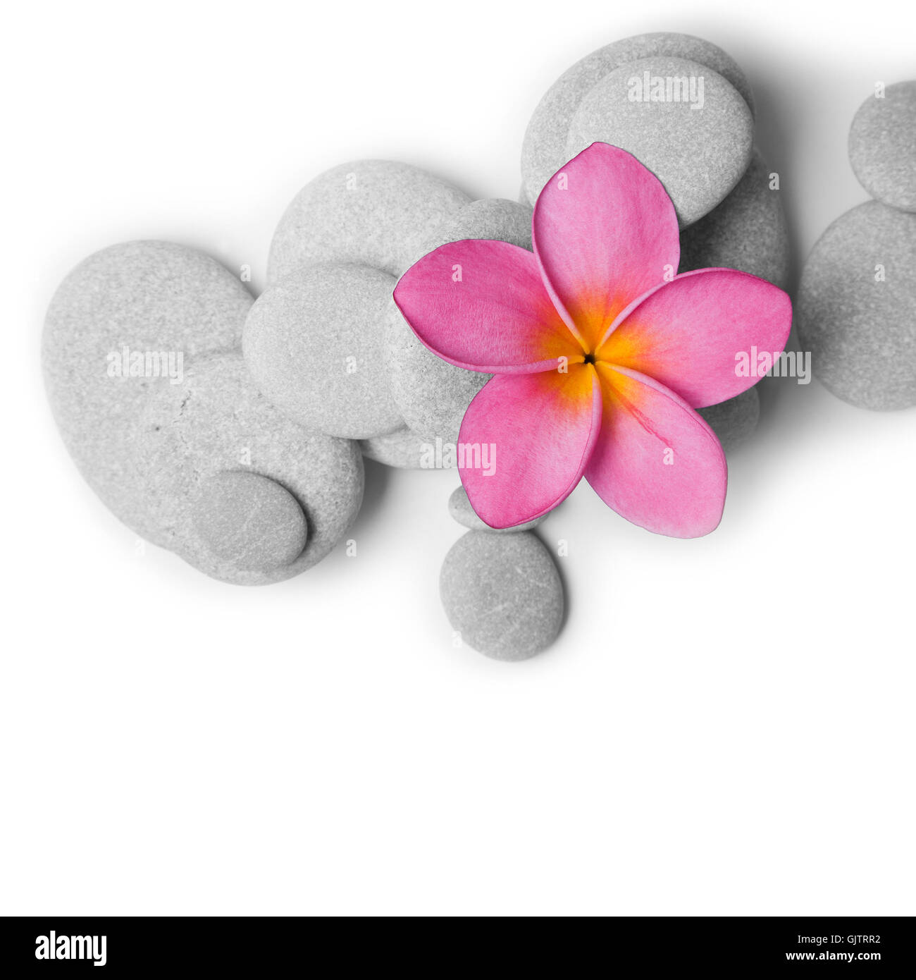 Stone and plant Cut Out Stock Images & Pictures Alamy