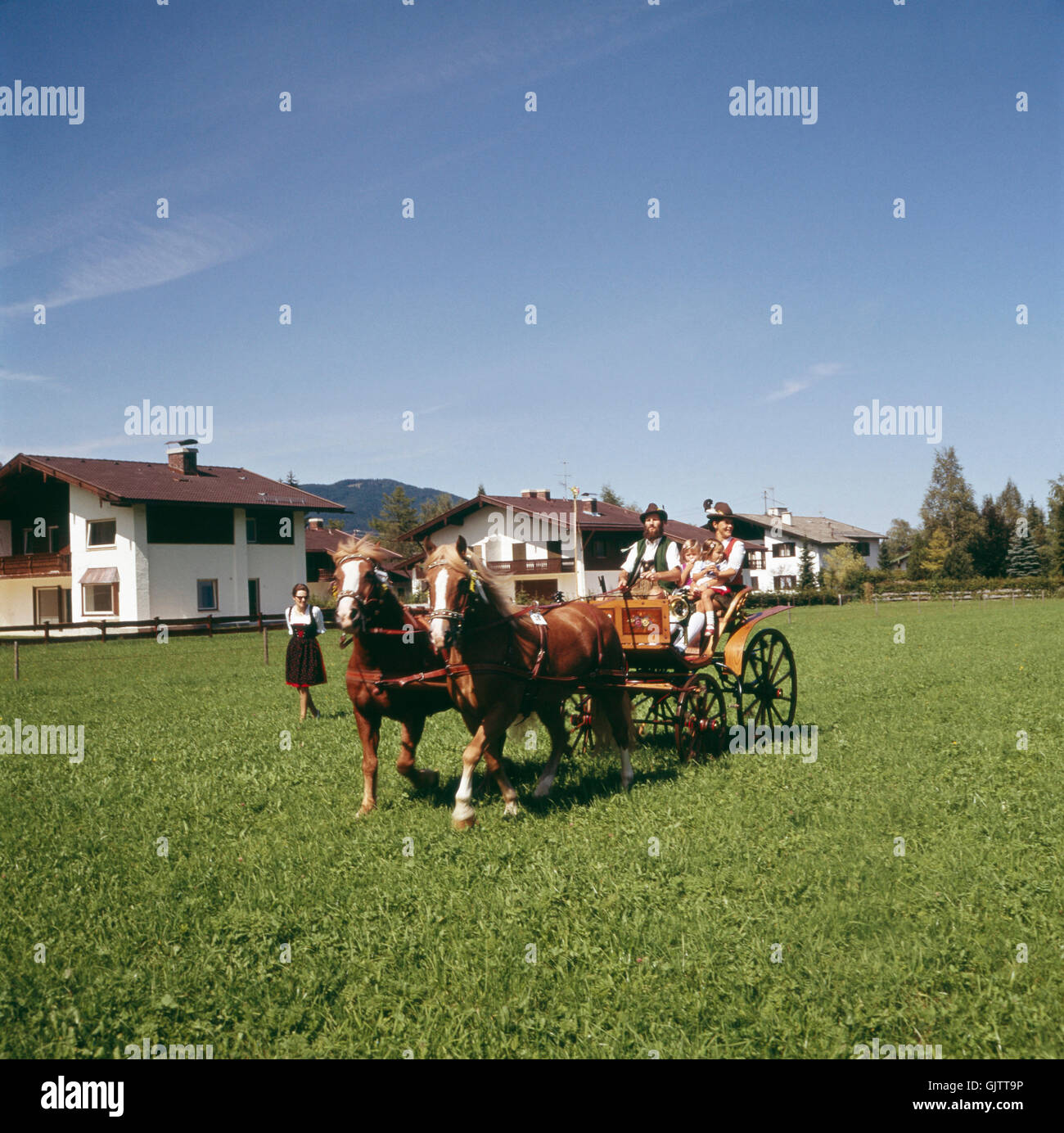 Kutschengaul Stock Photos Kutschengaul Stock Images Alamy