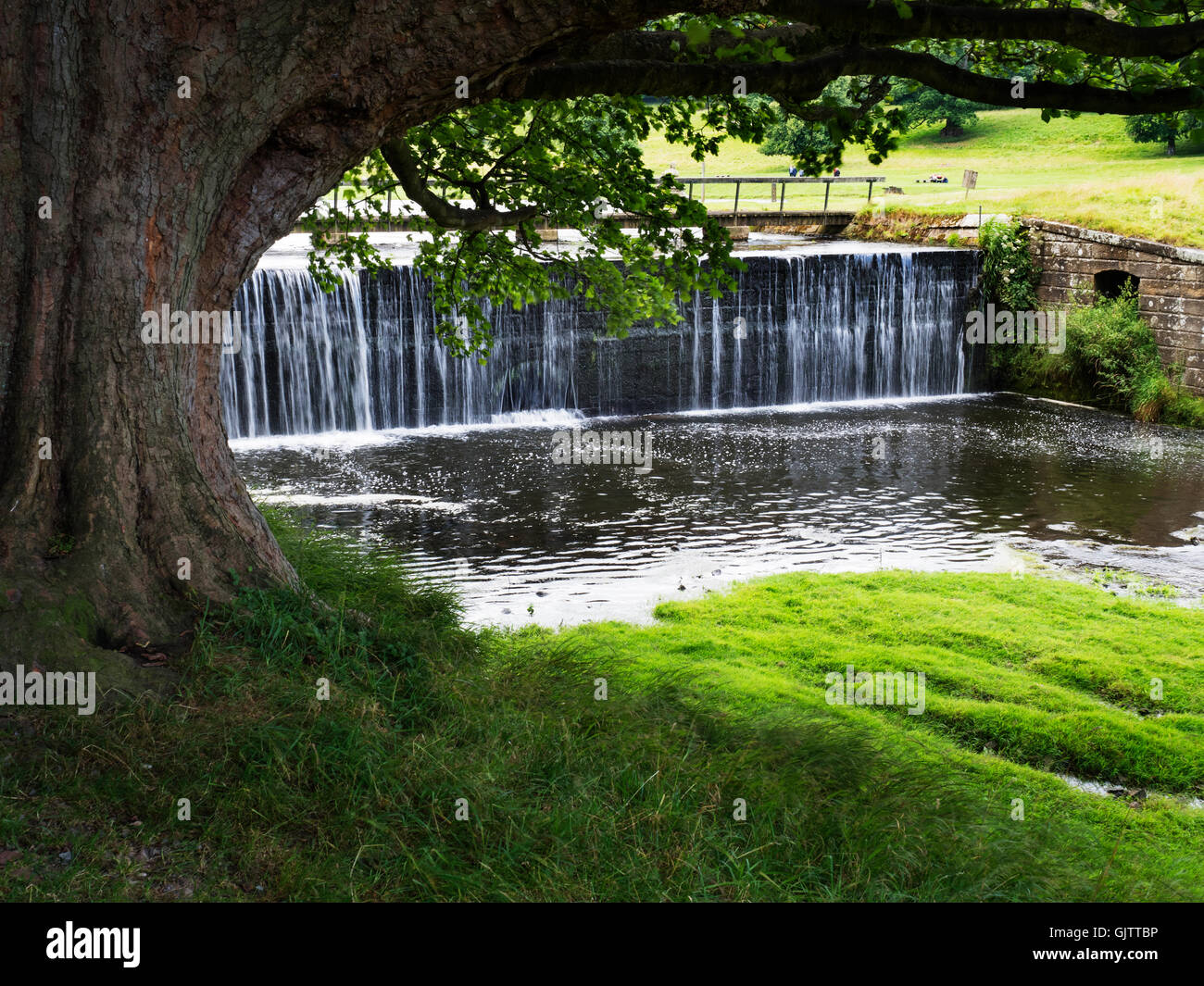 Dam on the River Skell forming the Ornamental Lake at Studley Park near Ripon North Yorkshire