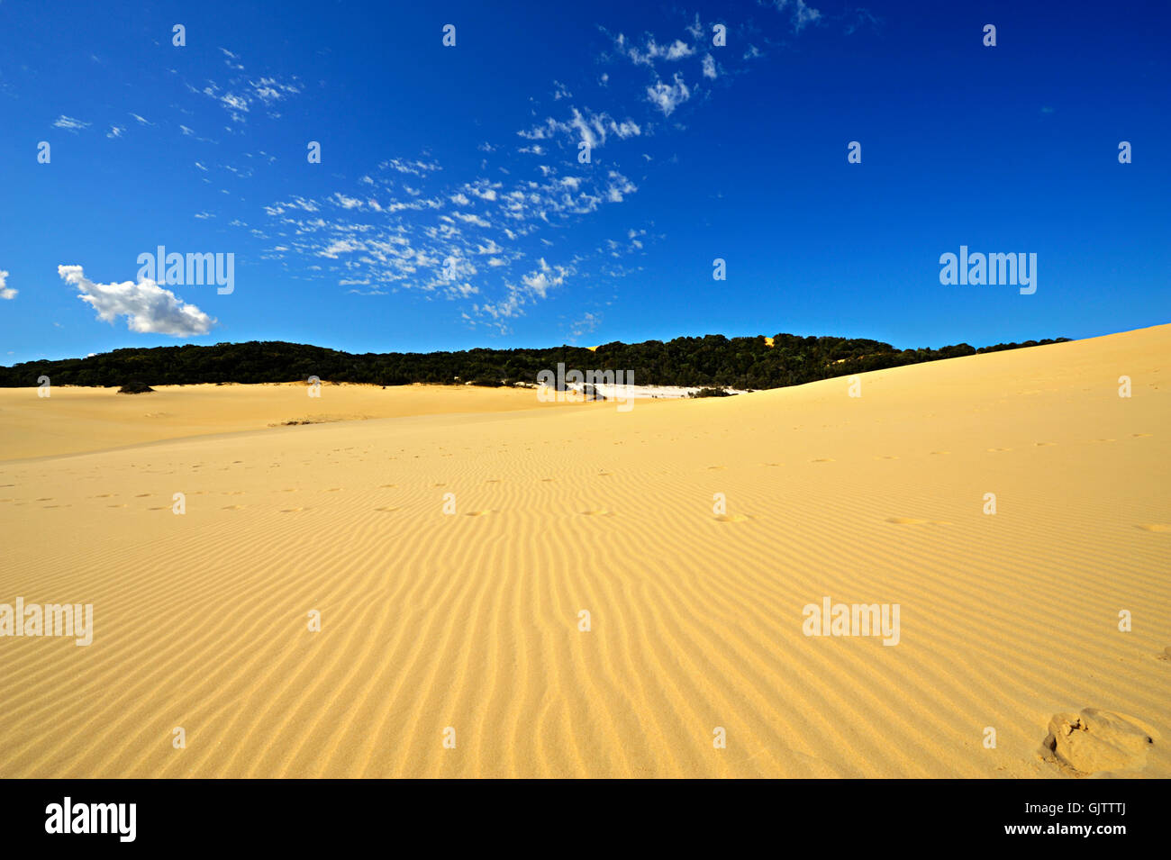 desert wasteland australia Stock Photo