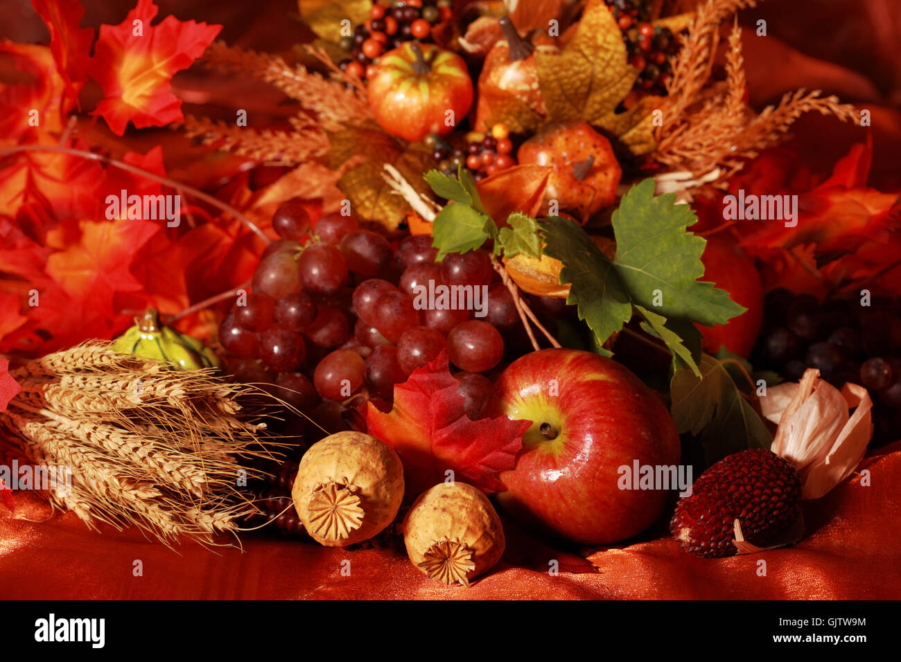 food aliment harvest Stock Photo