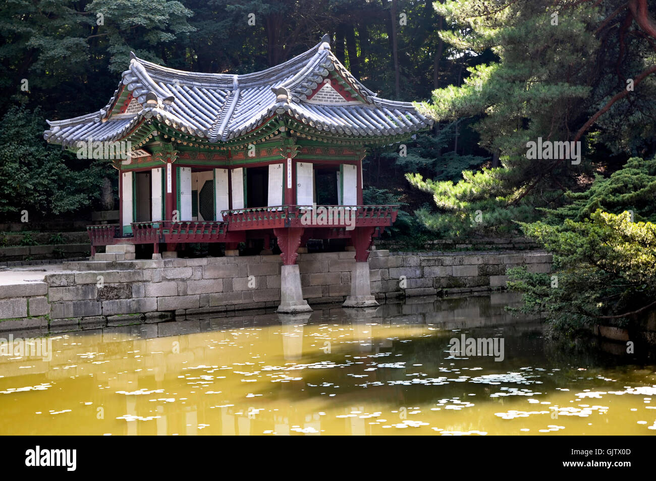 park south korea Stock Photo