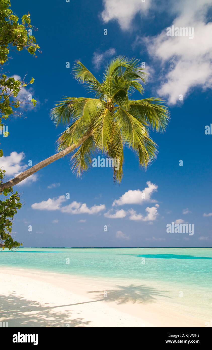 Heaven paradise tropical shine hi-res stock photography and images - Alamy