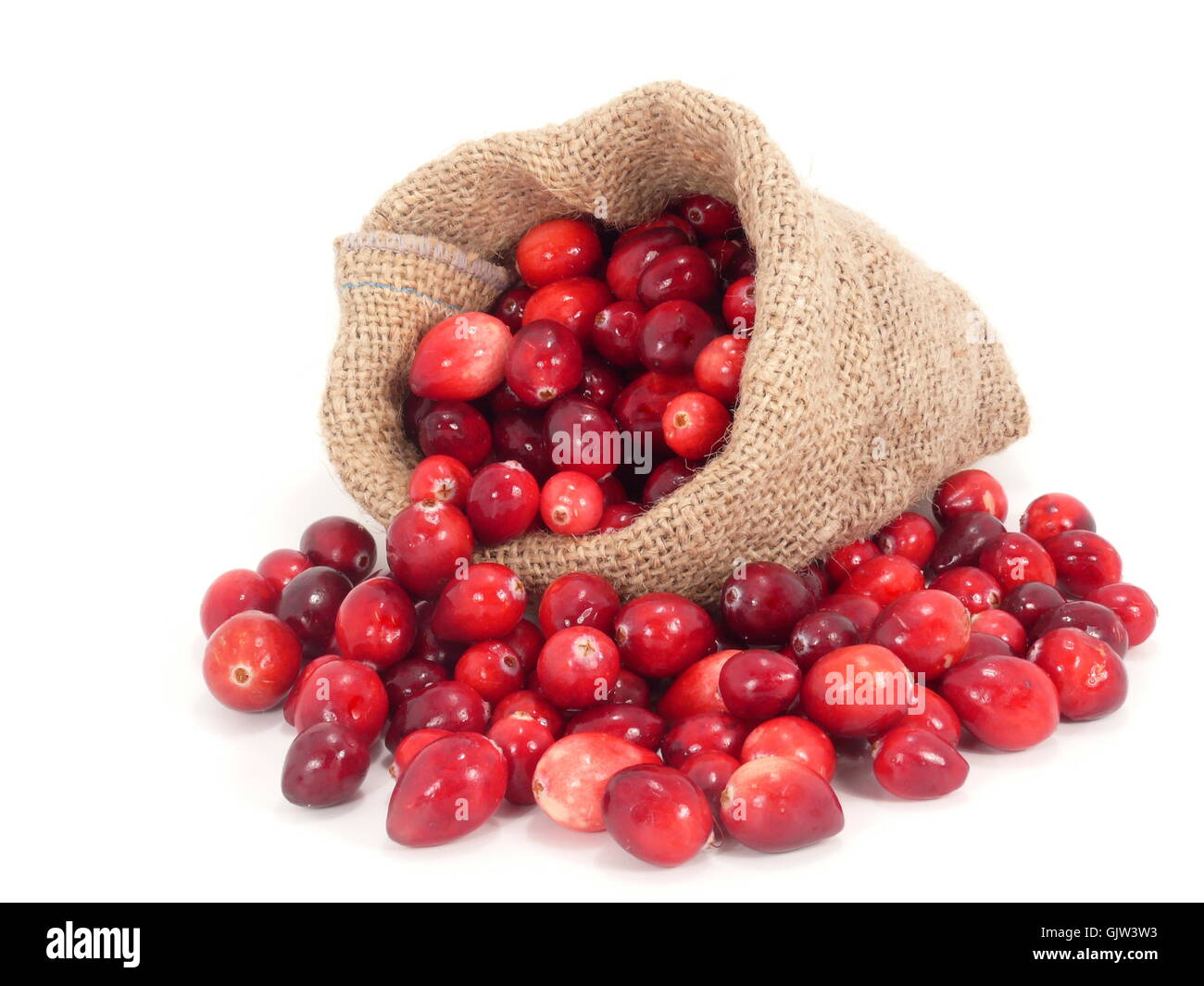 cranberries Stock Photo